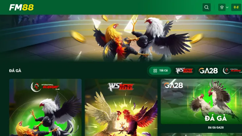 Không Rút Được Tiền Fm88: Giải Pháp Xử Lý Cho Vấn Đề Này 2 Tìm hiểu nguyên nhân không rút được tiền fm88